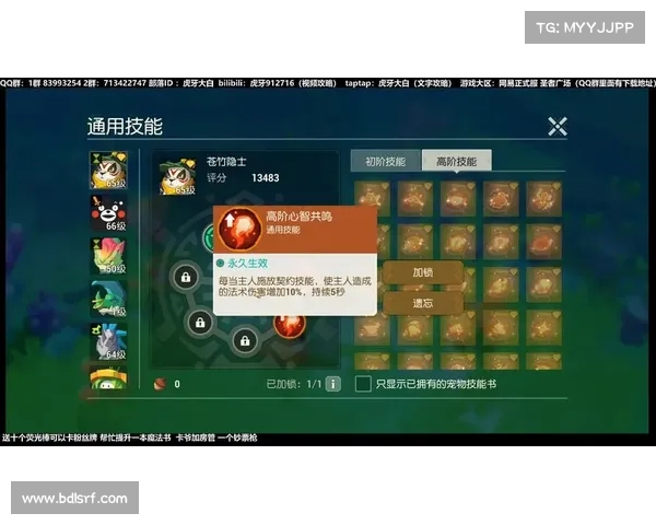 海岛纪元：驯兽师装备技能揭秘